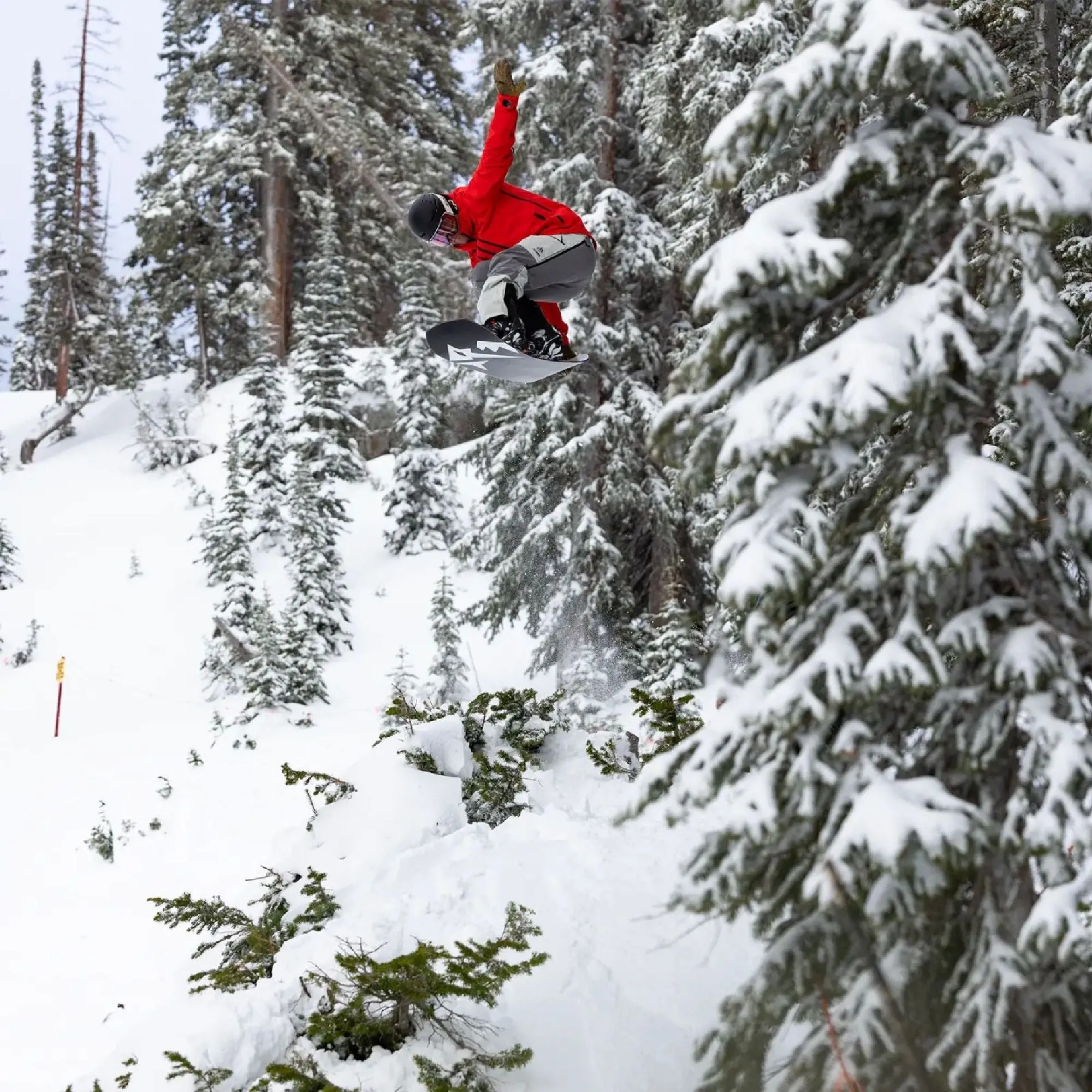 Jones Mountain Surf Bib Snow Pants