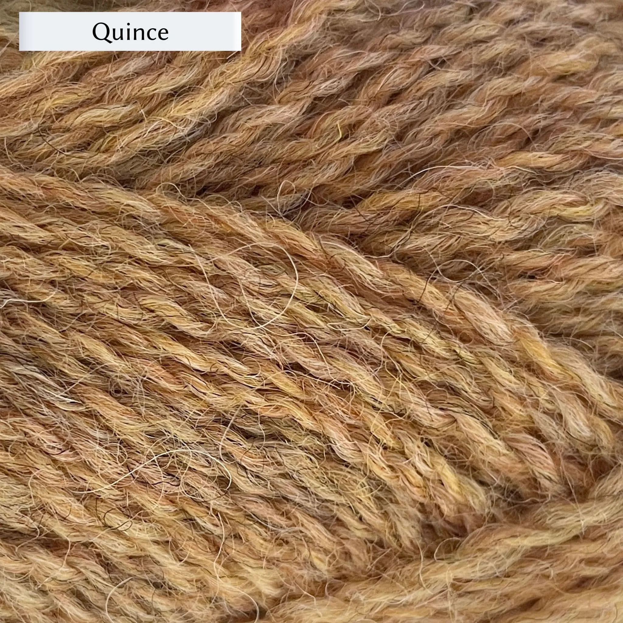 Marie Wallin's British Breeds 4ply