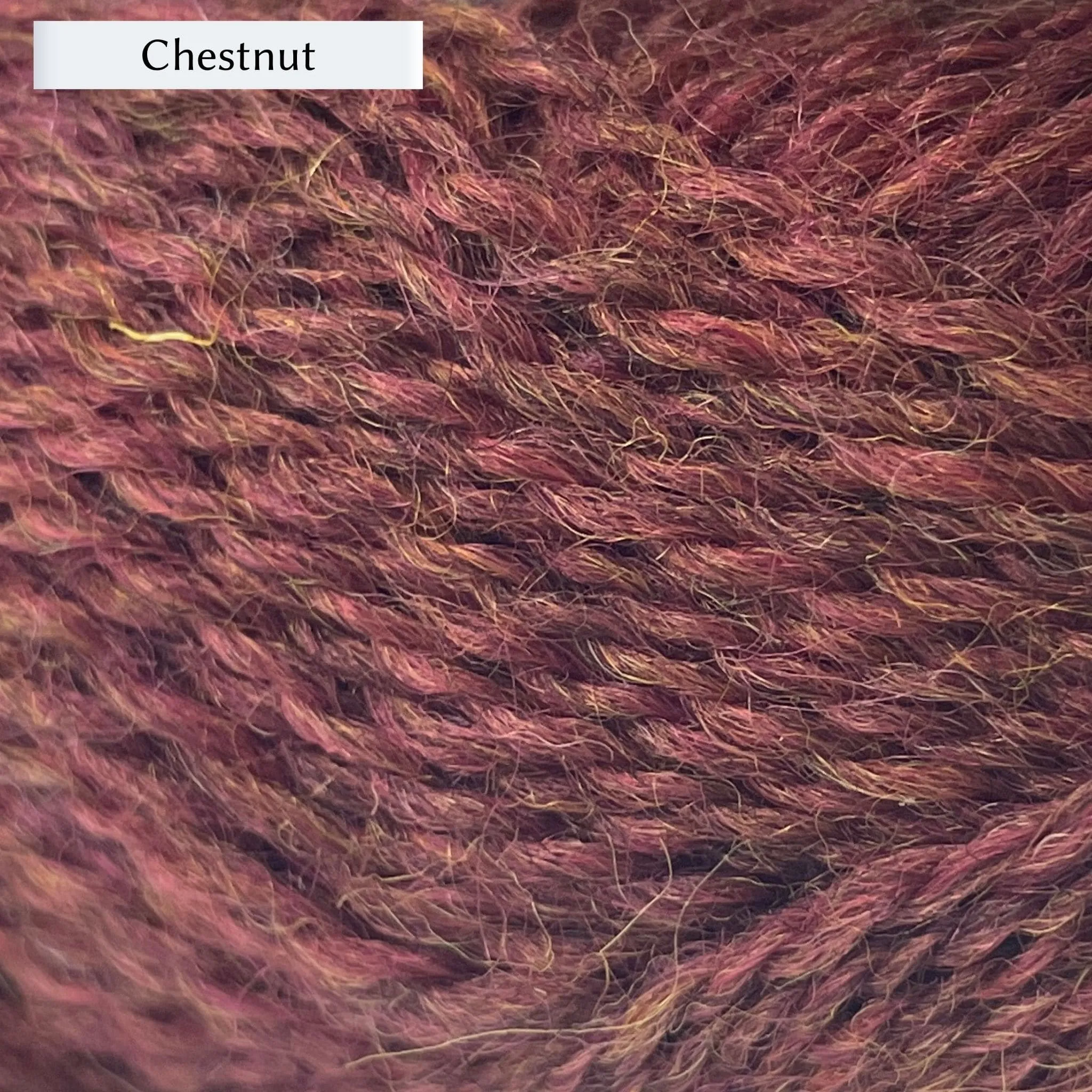 Marie Wallin's British Breeds 4ply