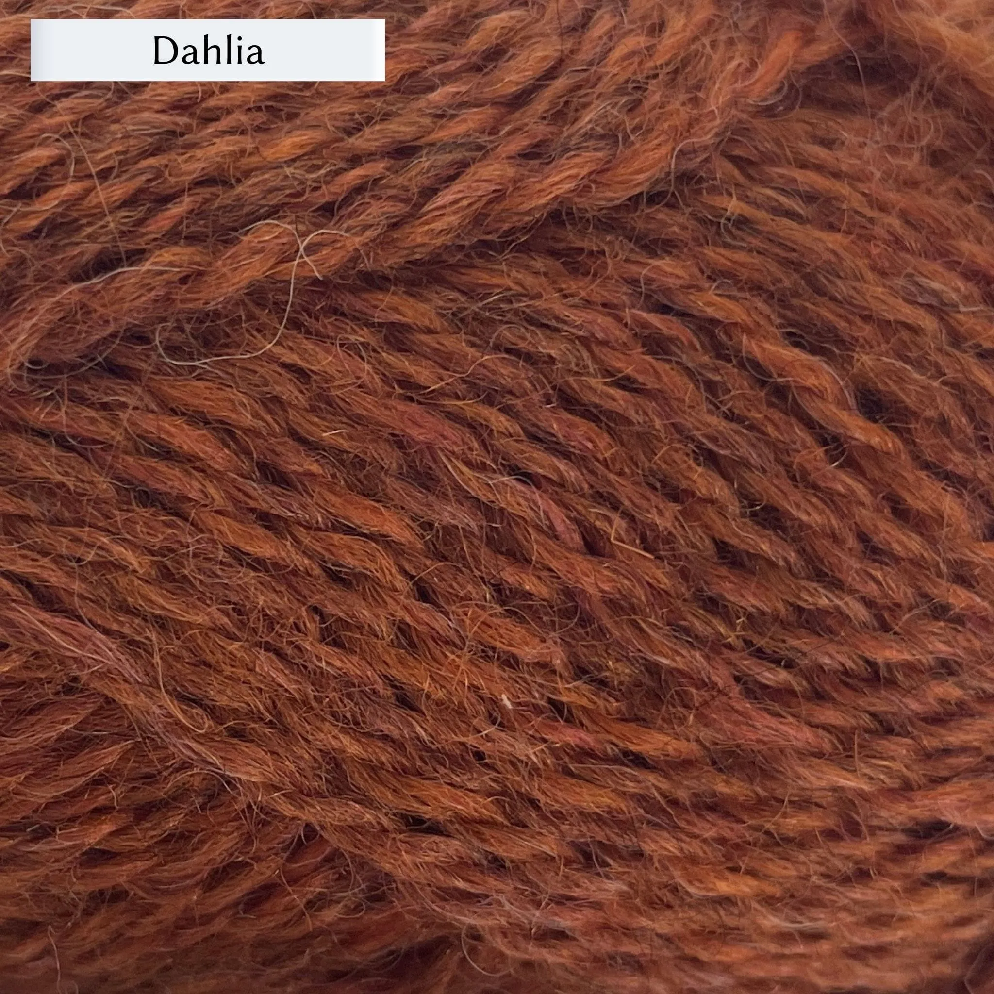 Marie Wallin's British Breeds 4ply