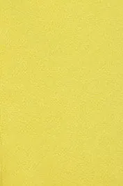 Mia Jogger | Golden Lime