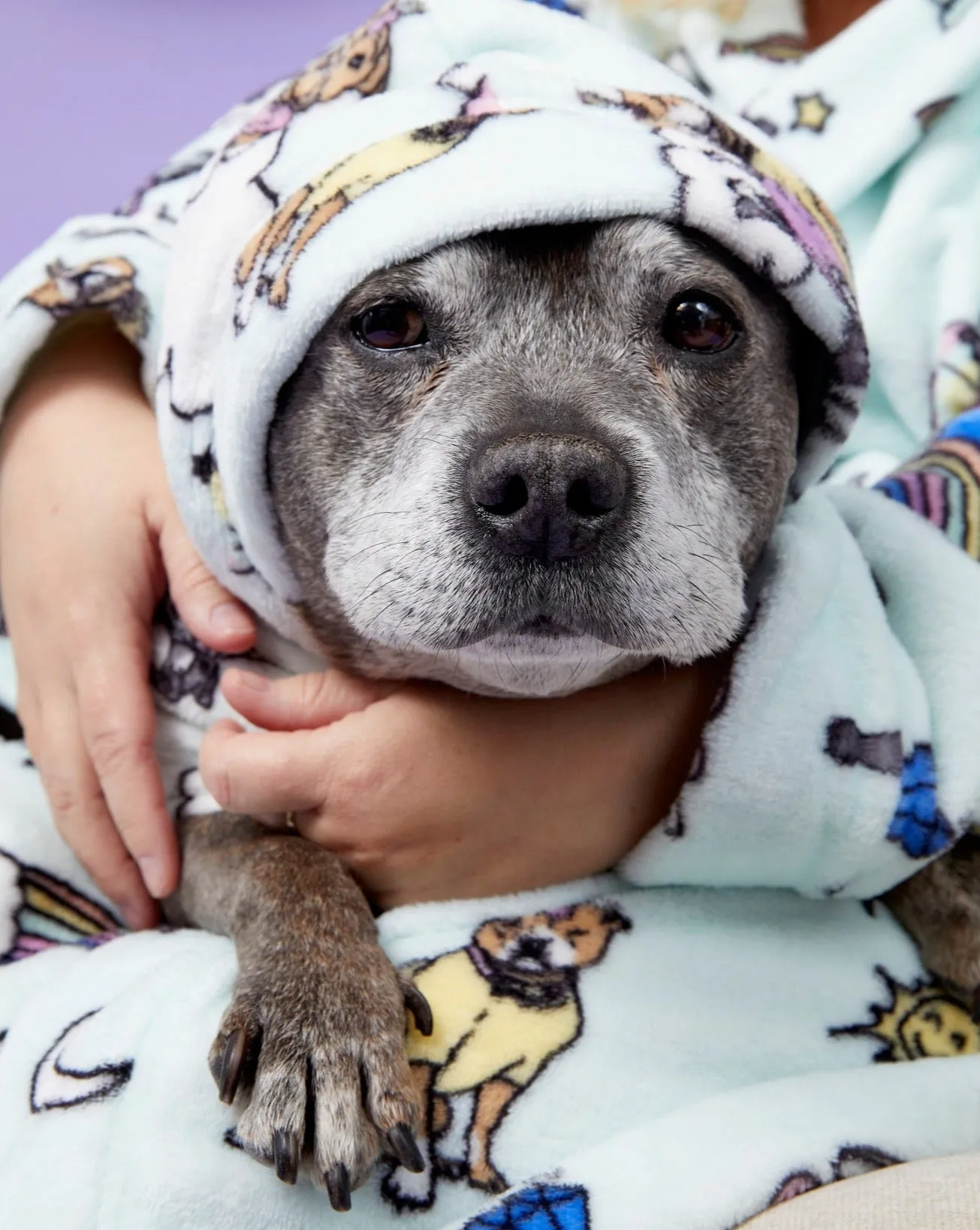 Stafficorns and Rainbows Dog Robe