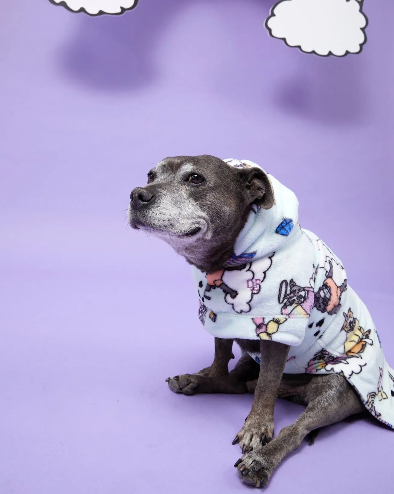 Stafficorns and Rainbows Dog Robe