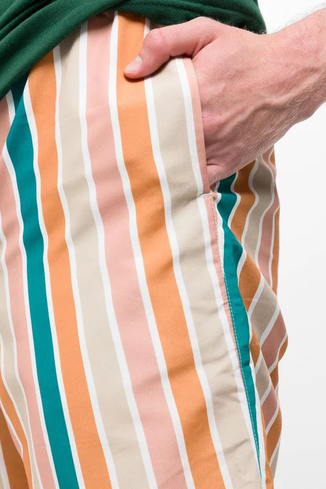 Stripe Swim Shorts Multi