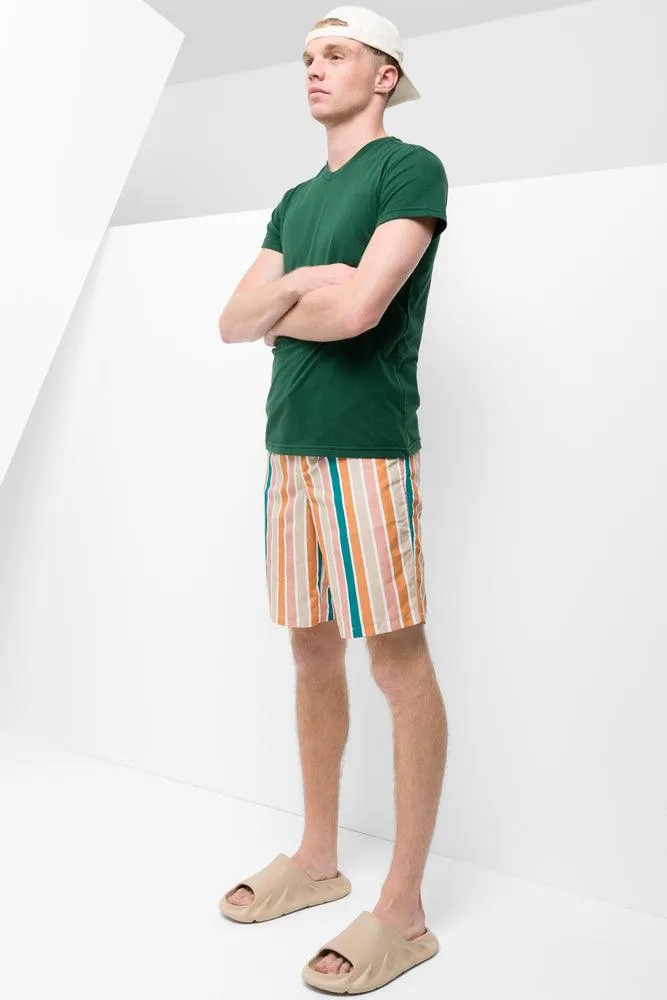 Stripe Swim Shorts Multi