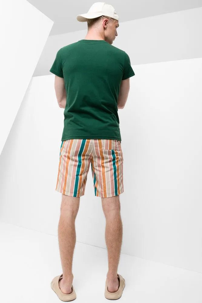 Stripe Swim Shorts Multi
